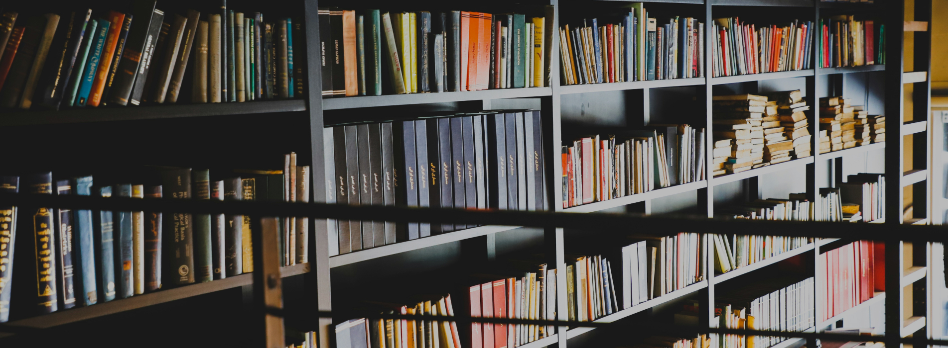 Proin “sit amet turpis lobortis”, imperdiet nisi ut, viverra